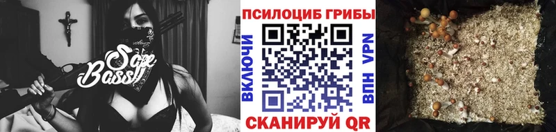 Галлюциногенные грибы мицелий  Купить закладки  Обнинск 